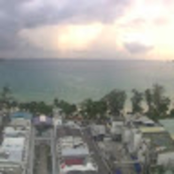 Meet your Posher, Elise - Picture 1 of 1